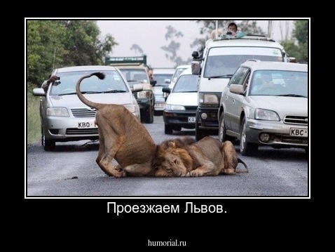 Проезжаем Львов.