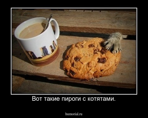 Вот такие пироги с котятами.