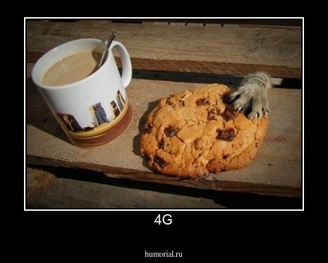 4G