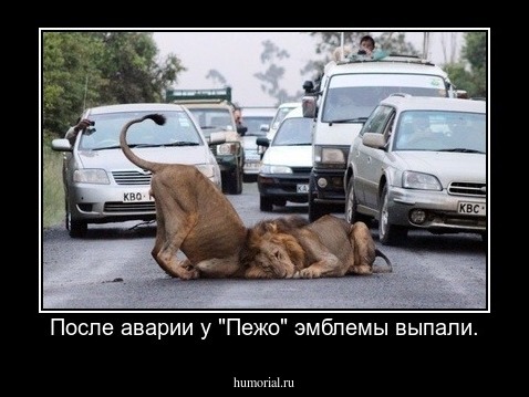 После аварии у "Пежо" эмблемы выпали.