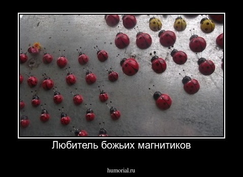 Любитель божьих магнитиков