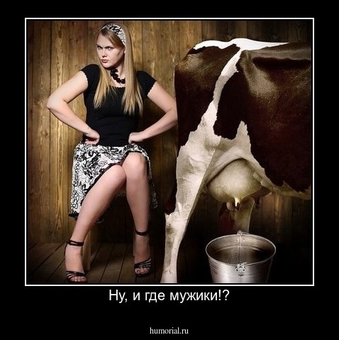 Ну, и где мужики!?