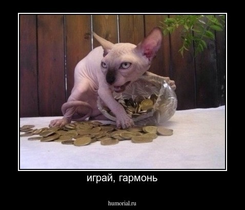 играй, гармонь