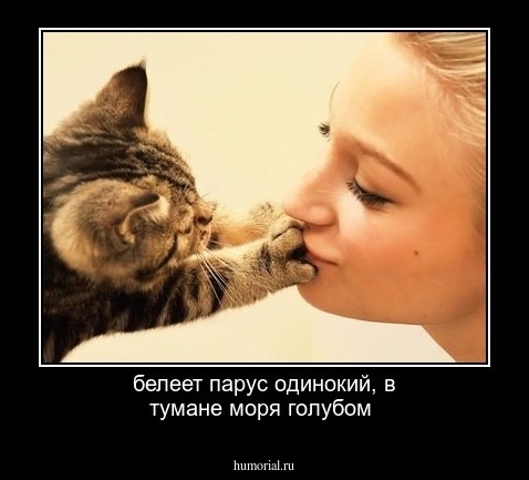 белеет парус одинокий, в тумане моря голубом