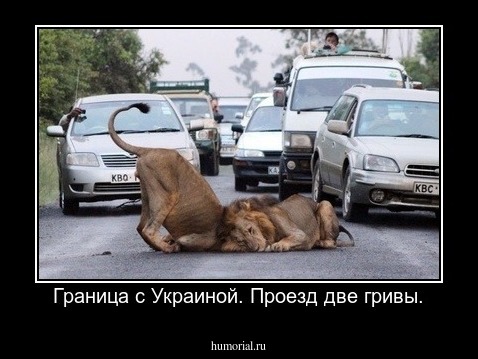 Граница с Украиной. Проезд две гривы.