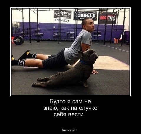 Будто  я сам не знаю, как на случке себя вести.