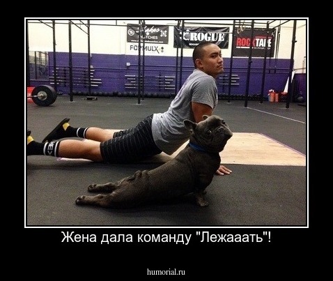 Жена дала команду "Лежааать"!