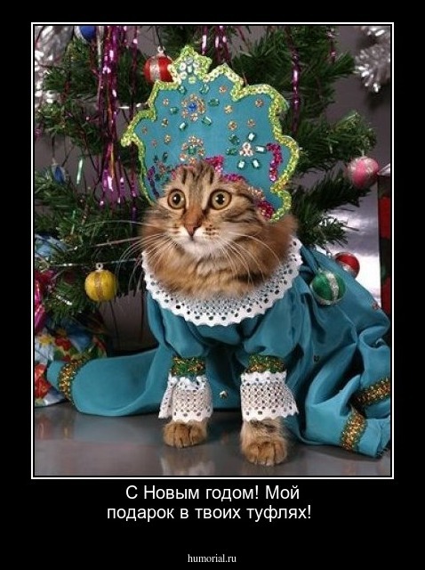 С Новым годом! Мой подарок в твоих туфлях!