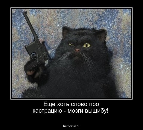 Еще хоть слово про кастрацию - мозги вышибу!