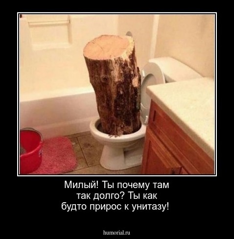Милый! Ты почему там так долго? Ты как будто прирос к унитазу!