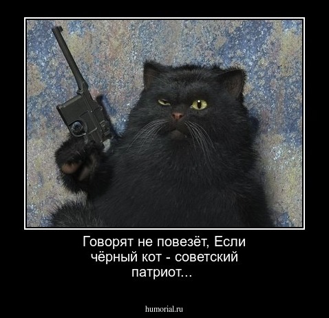 Говорят не повезёт, 
Если чёрный кот - советский патриот...