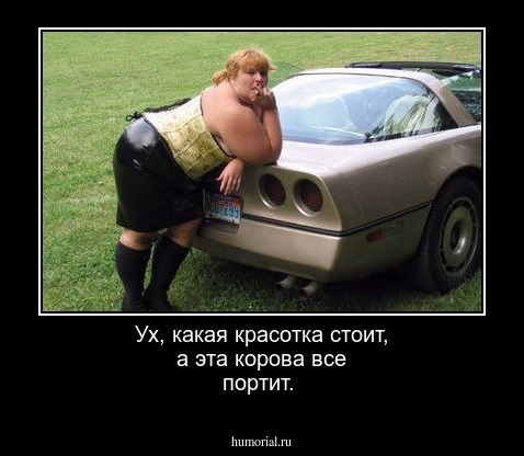 Ух, какая красотка стоит, а эта корова все портит.