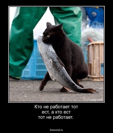 Кто не работает тот ест, а кто ест тот не работает.