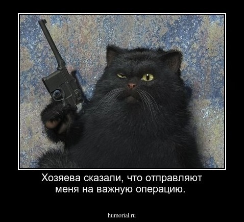 Хозяева сказали, что отправляют меня на важную операцию.