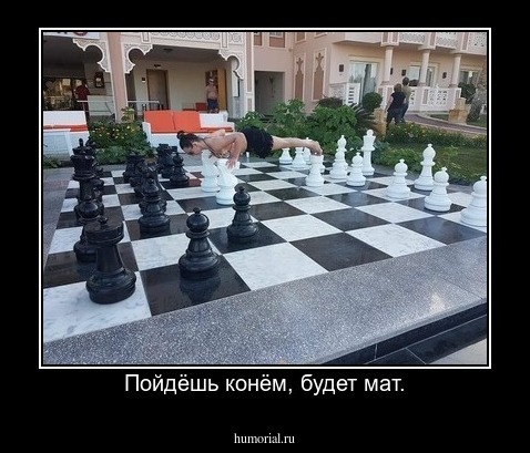 Пойдёшь конём, будет мат.