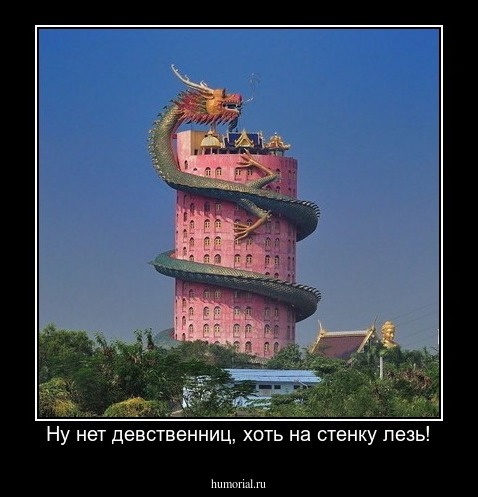 Ну нет девственниц, хоть на стенку лезь!