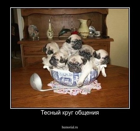Тесный круг общения