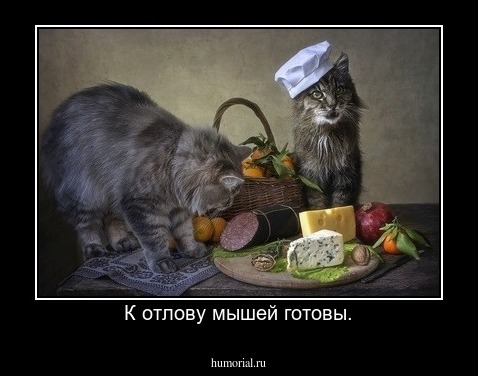 К отлову мышей готовы.