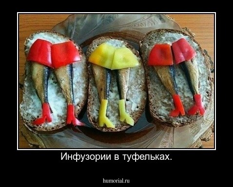Инфузории в туфельках.