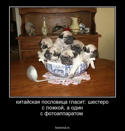 китайская пословица гласит: шестеро с ложкой, а один с фотоаппаратом