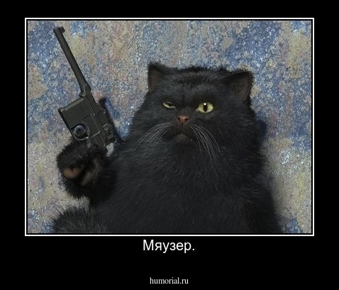 Мяузер.