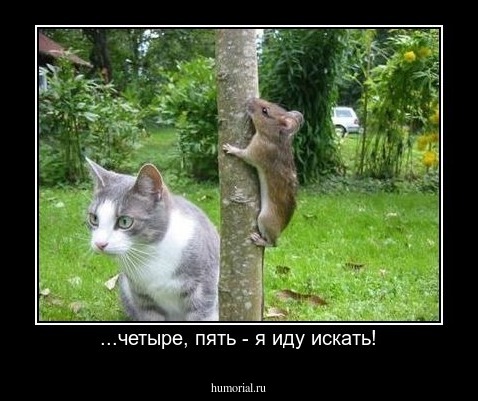 ...четыре, пять - я иду искать!