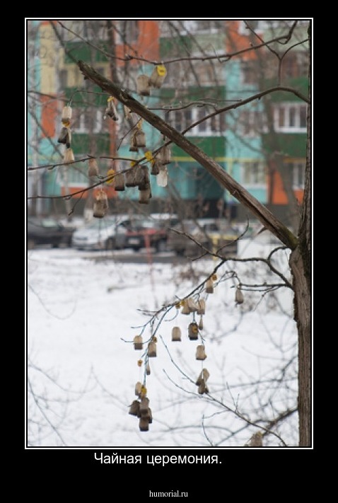 Чайная церемония.     