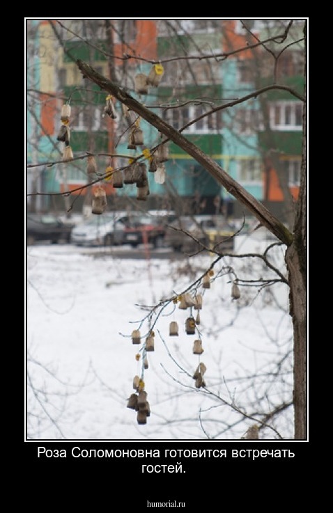 Роза Соломоновна готовится встречать гостей.