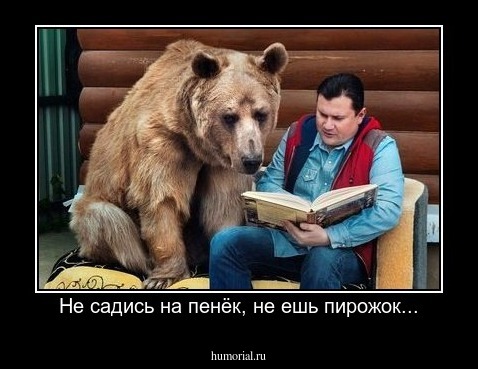 Не садись на пенёк, не ешь пирожок...