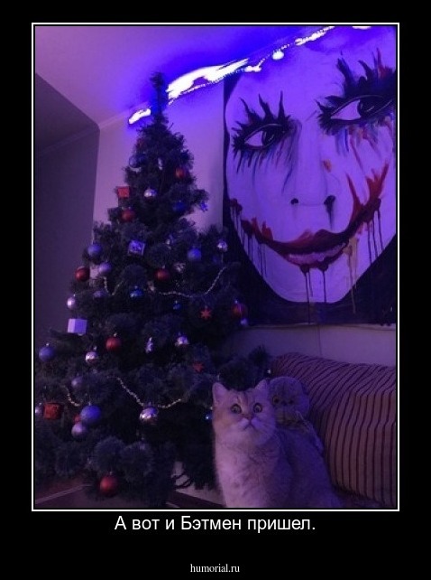 А вот и Бэтмен пришел.