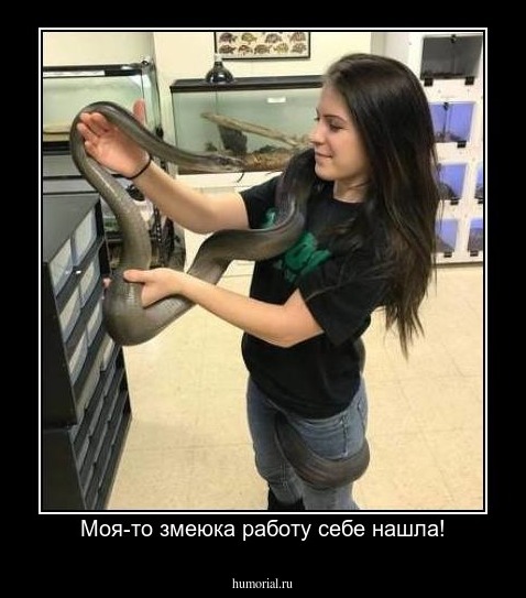 Моя-то змеюка работу себе нашла!