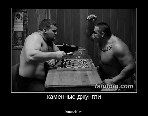 каменные джунгли