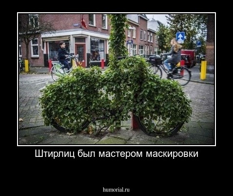 Штирлиц был мастером маскировки
