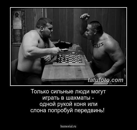 Только сильные люди могут играть в шахматы - одной рукой коня или слона попробуй передвинь!