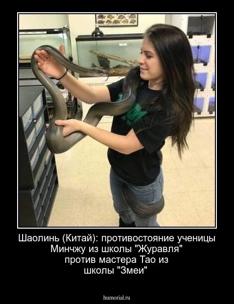 Шаолинь (Китай): противостояние ученицы Минчжу из школы "Журавля" против мастера Тао из школы "Змеи"