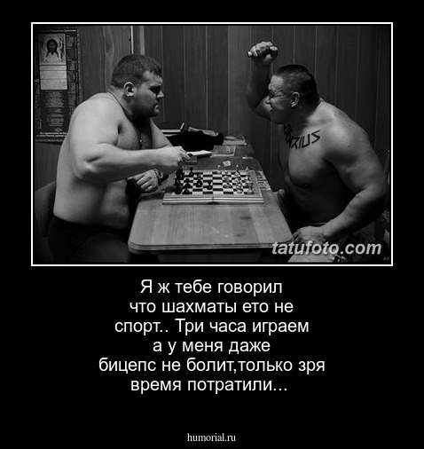 Я ж тебе говорил что шахматы ето не спорт..
Три часа играем а у меня даже бицепс не болит,только зря время потратили...