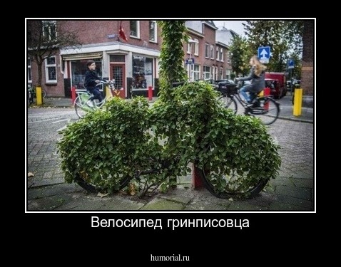 Велосипед гринписовца