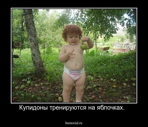 Купидоны тренируются на яблочках.  