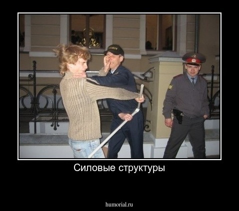 Силовые структуры
