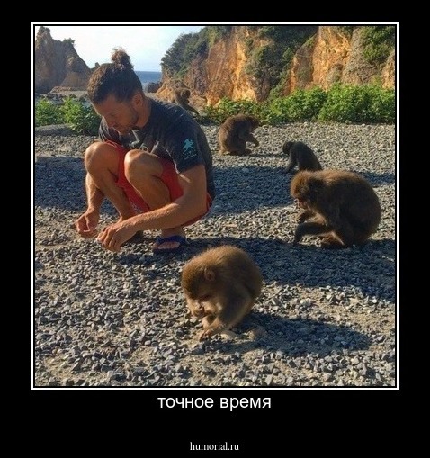 точное время