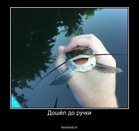 Дошёл до ручки