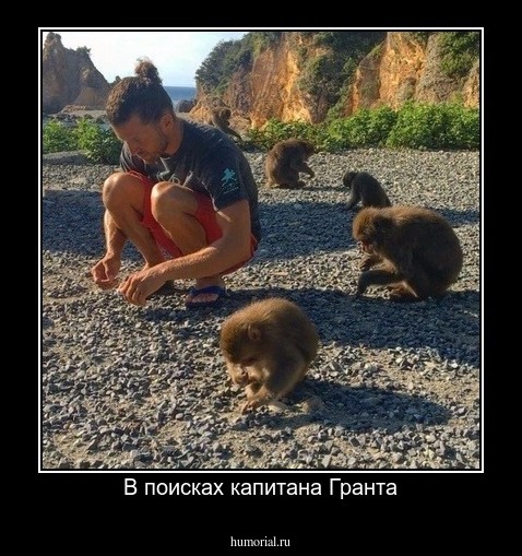 В поисках капитана Гранта