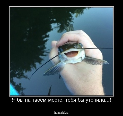 Я бы на твоём месте, тебя бы утопила...!