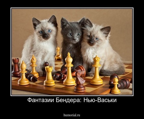 Фантазии Бендера: Нью-Васьки