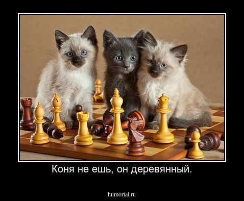 Коня не ешь, он деревянный.