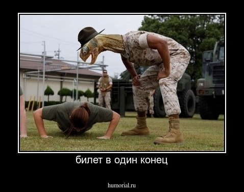 билет в один конец