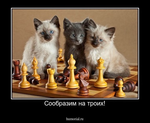 Сообразим на троих!