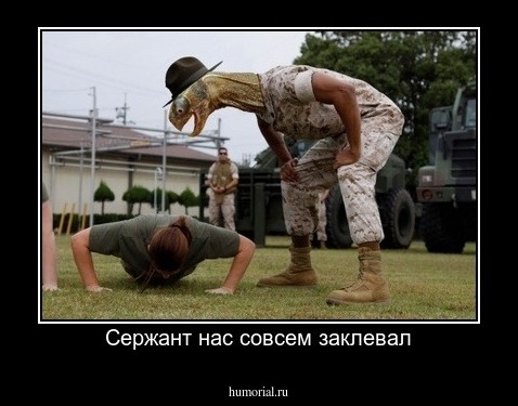 Сержант нас совсем заклевал