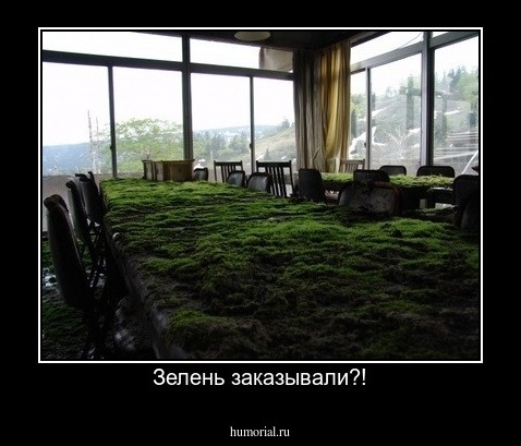Зелень заказывали?!