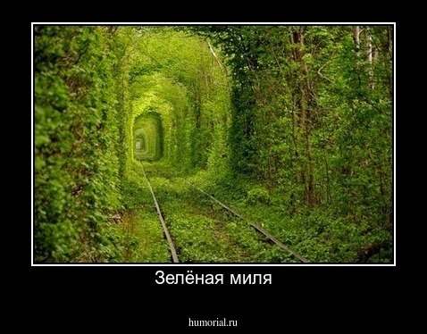 Зелёная миля